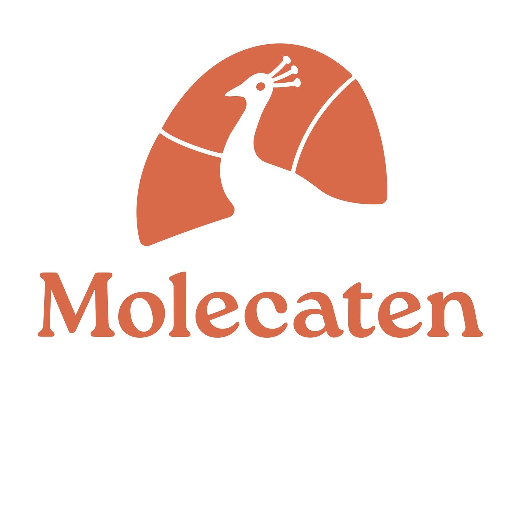 Molecaten